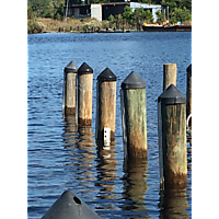 King tide image